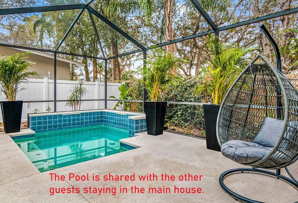 1BR to 4BR House near Clearwater Beach with Swimming Pool Apartment in Safety Harbor