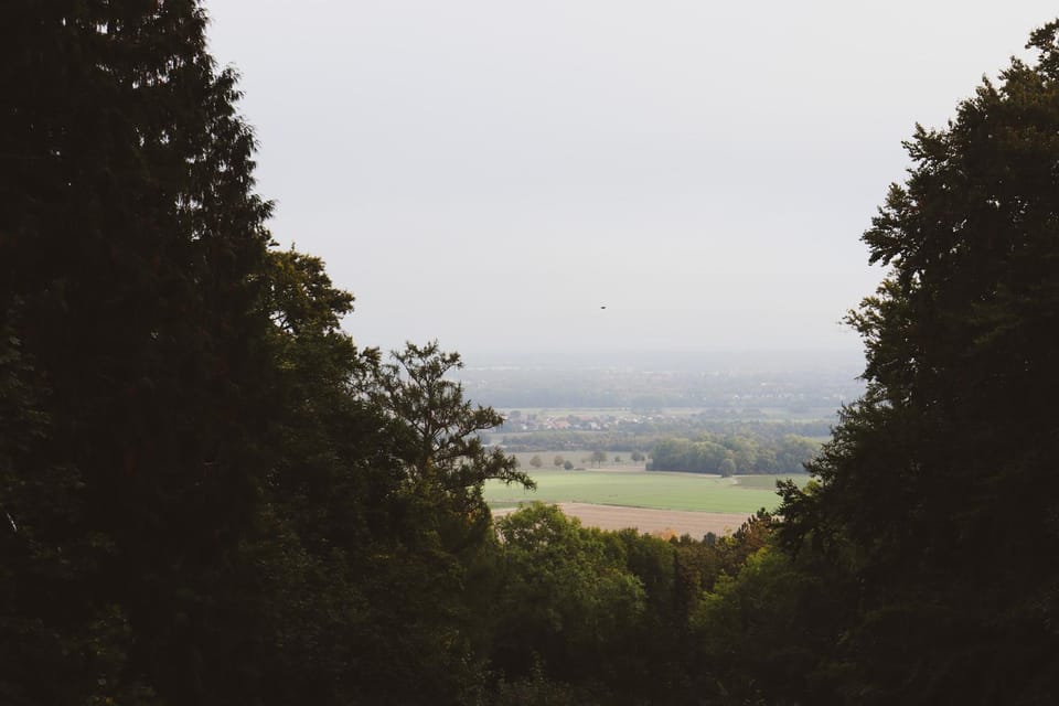 Natural landscape, View (from property/room)