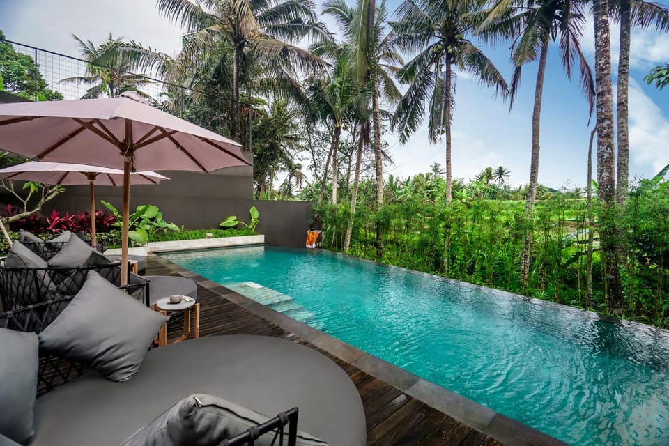 Garden, Garden view, Pool view, Swimming pool, sunbed