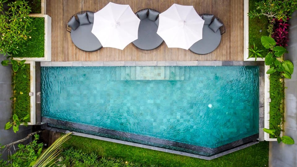 Garden, Garden view, Pool view, Swimming pool, sunbed