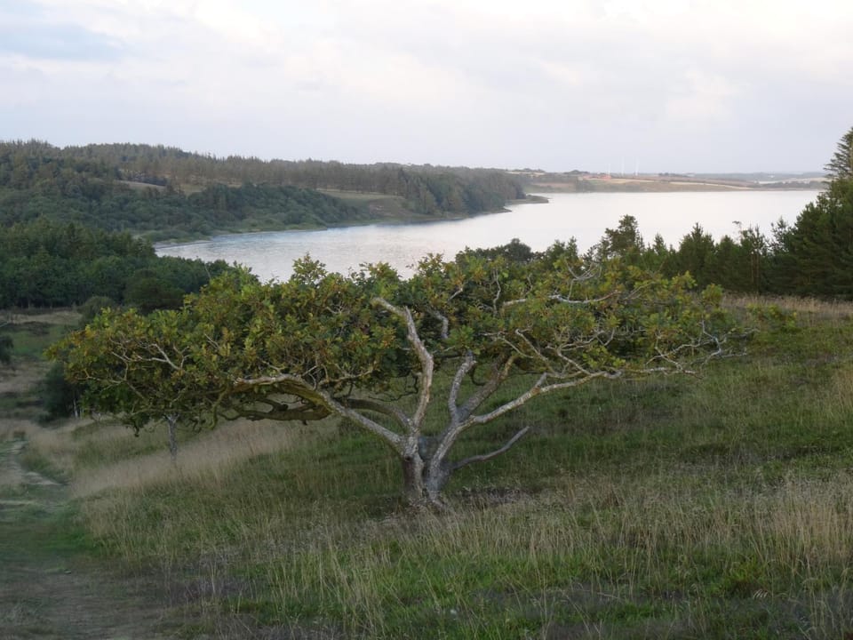 Skibstedborg - naturhytte i Thy House in Denmark