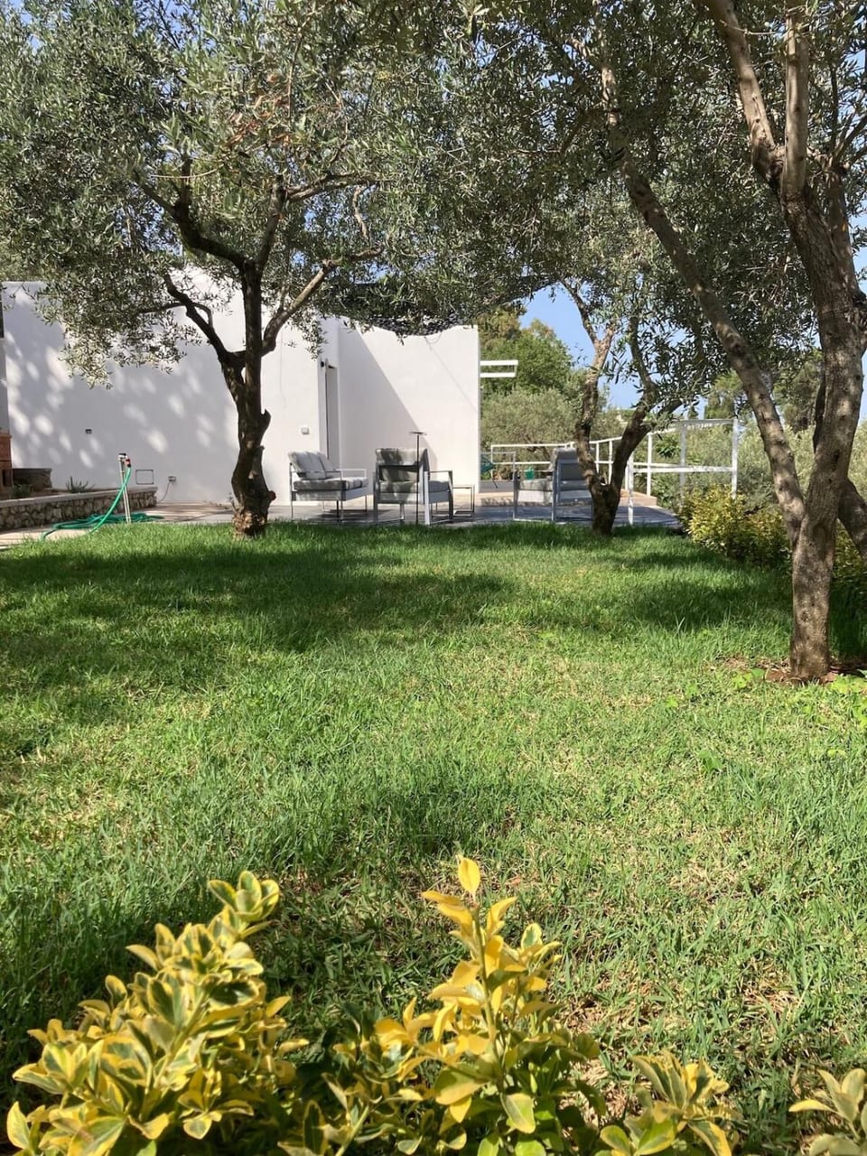 Property building, Garden