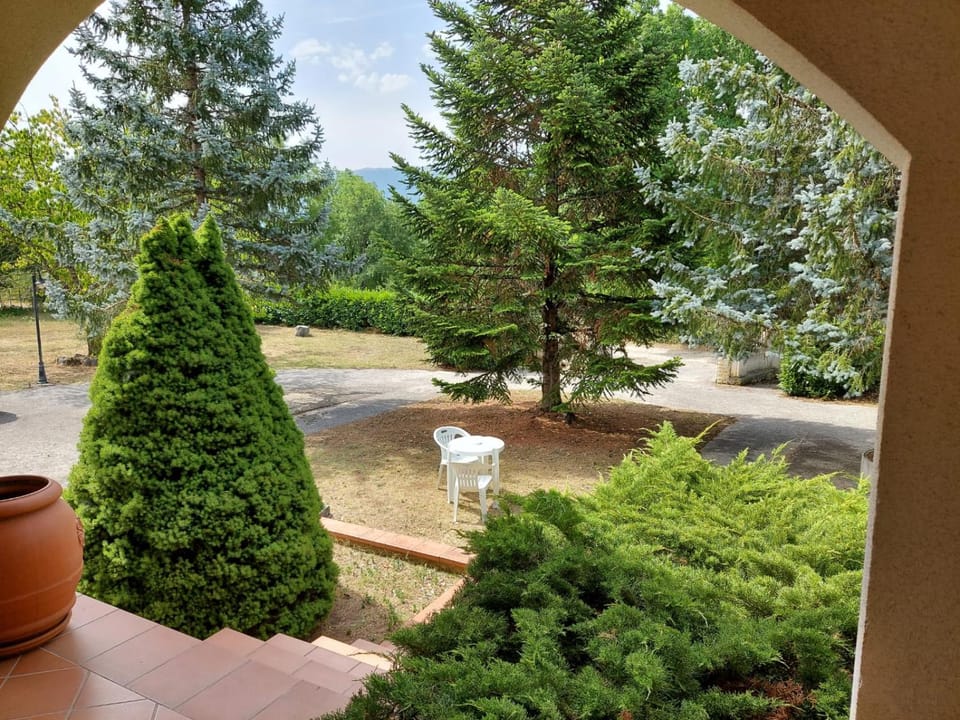 Garden view