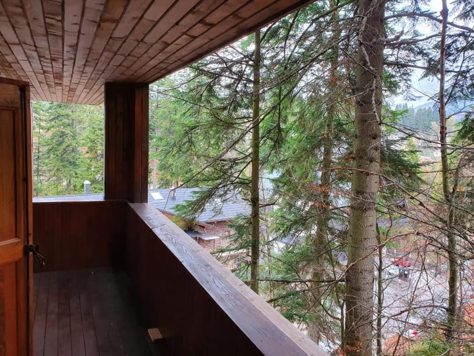 Mikerynos 1 Apartment in Sinaia
