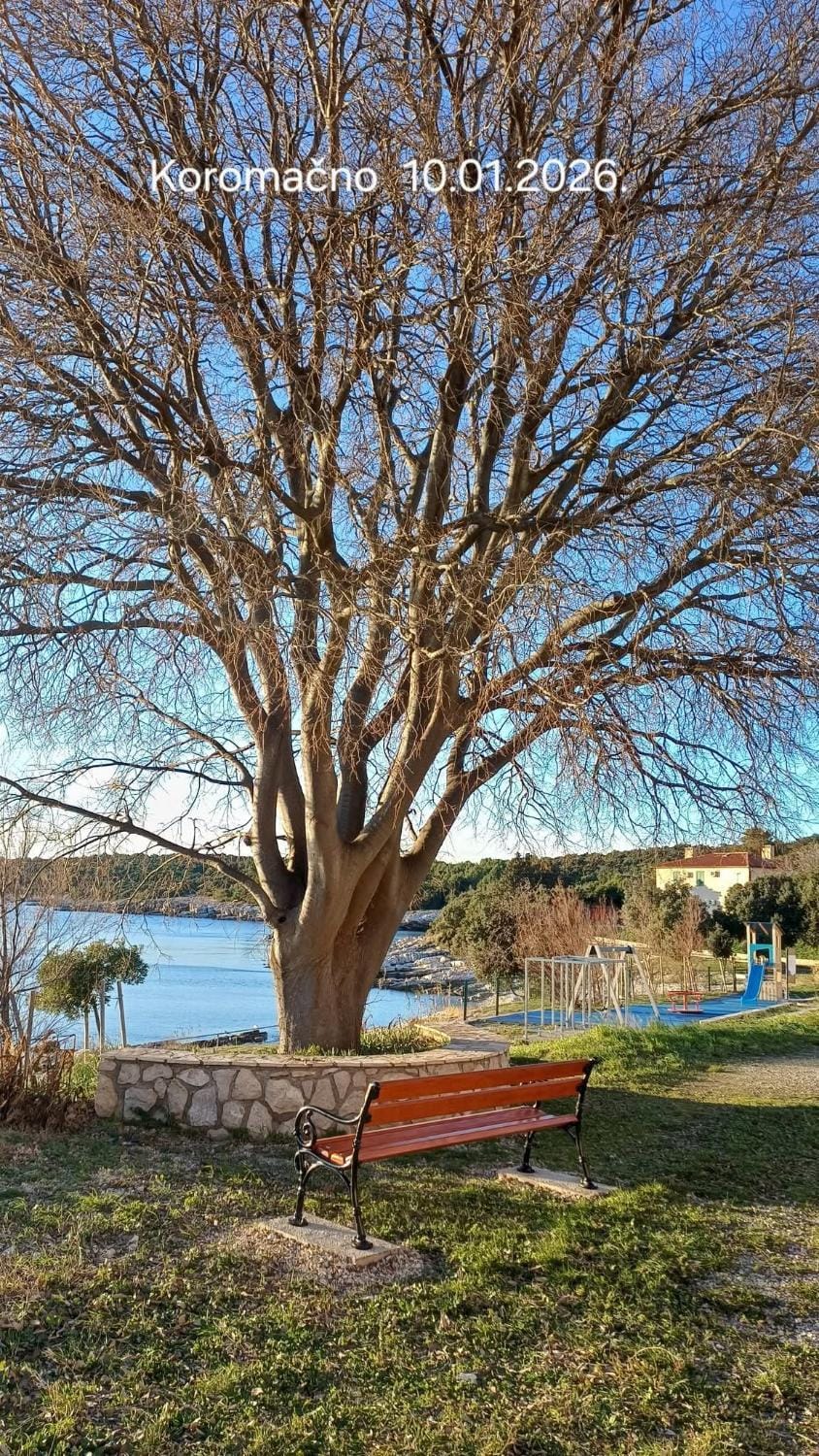 AriaDeMar Apartment in Istria County