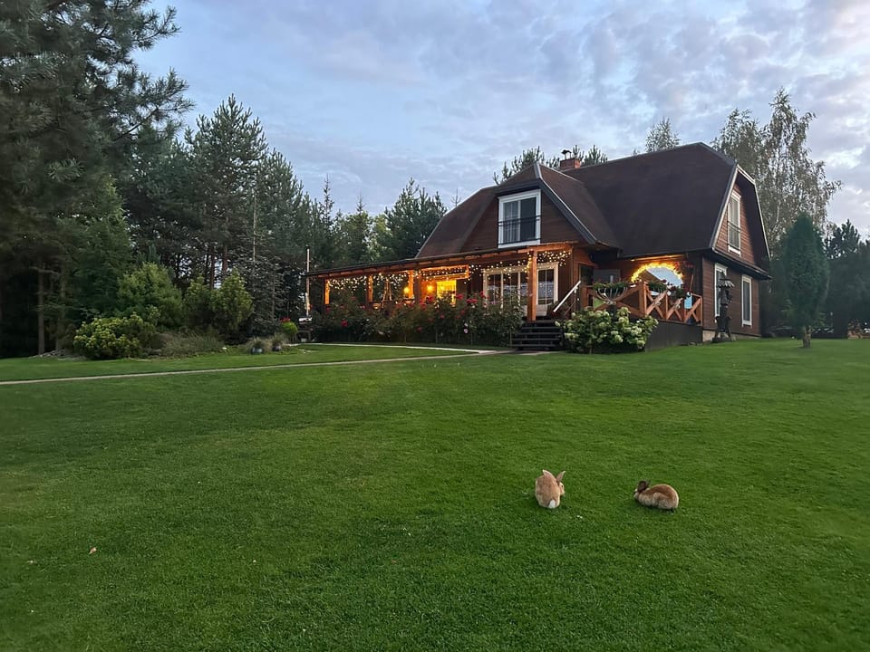 View (from property/room), Animals