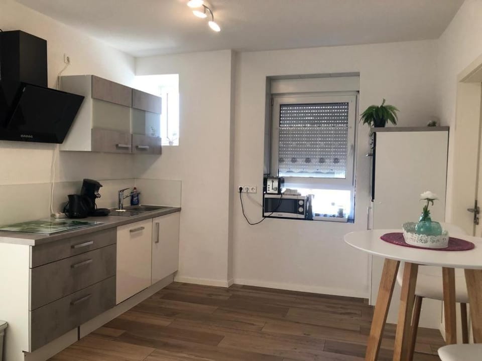 Grenznahe Ferienwohnung mit 4 Schlafzimmern Apartment in Canton of Basel City