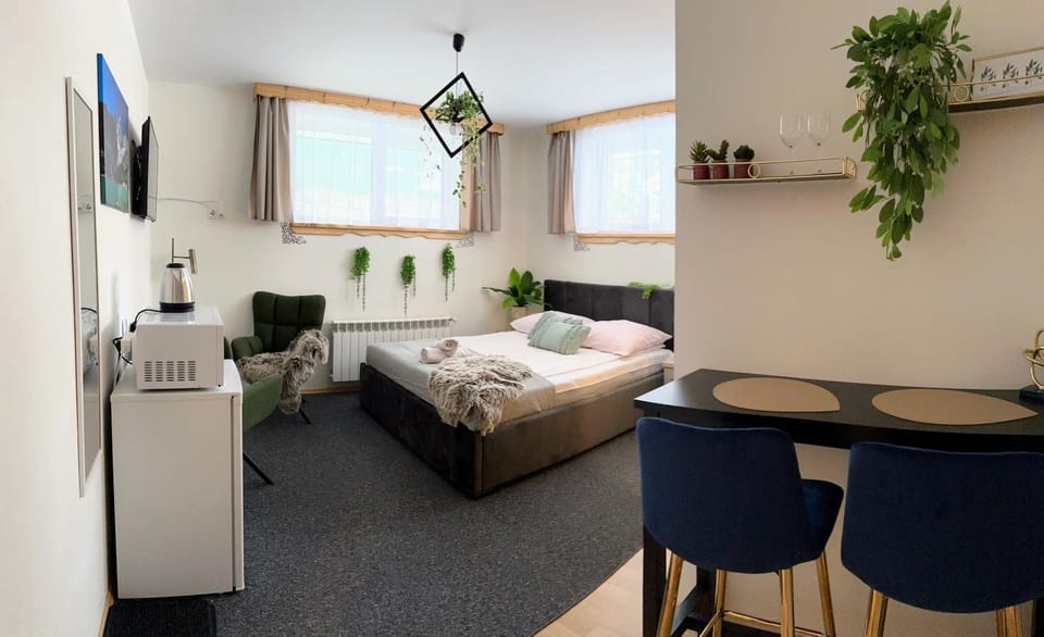 Podhalańska Chata Krupówki o Krok Apartment in Zakopane