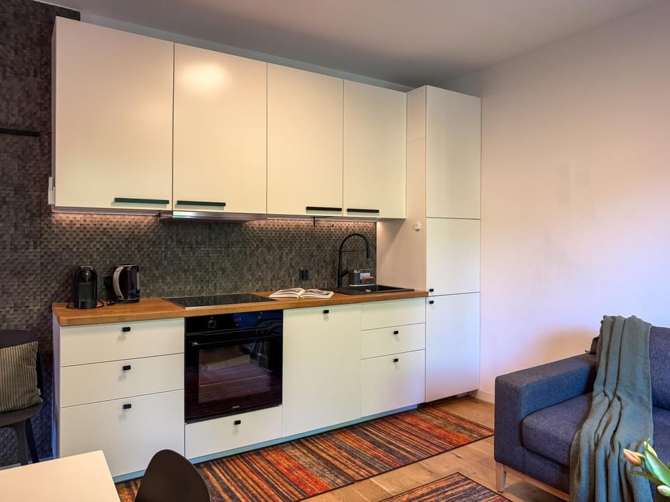 URBAN APARTMENTS No 3 - Air Condition - Garden - Free Parking Apartment in Poland