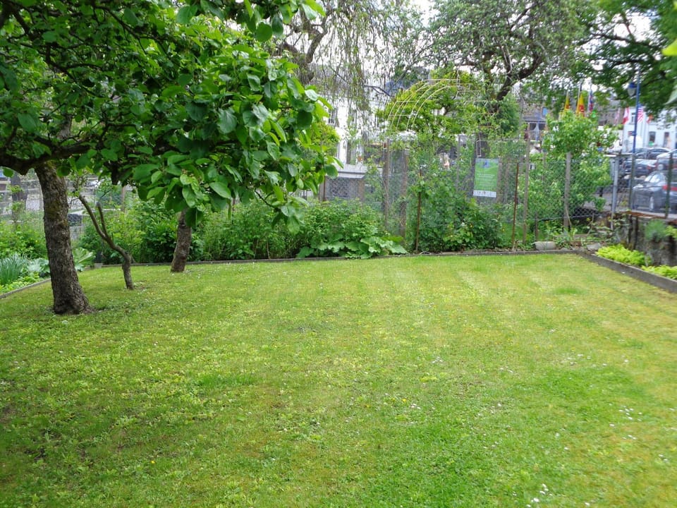 Spring, Natural landscape, Garden, Garden view