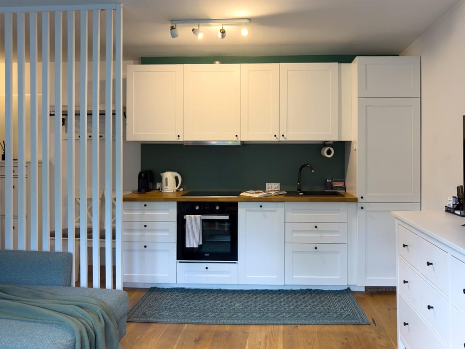 URBAN APARTMENTS No 4 - Air Condition - Garden - Free Parking Apartment in Poland