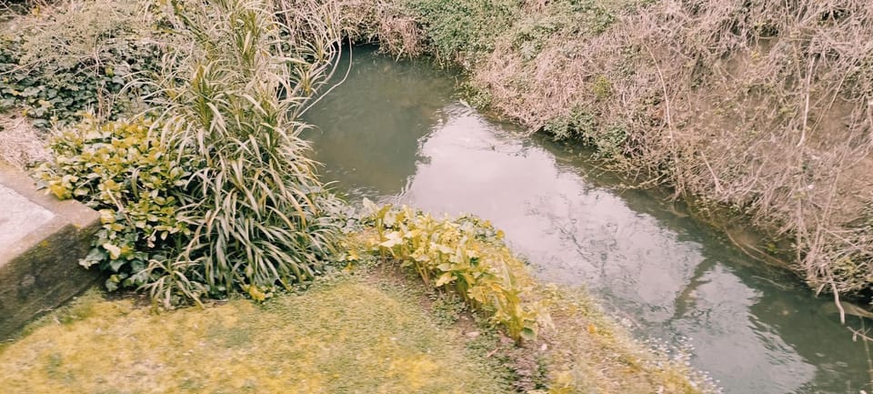 River view