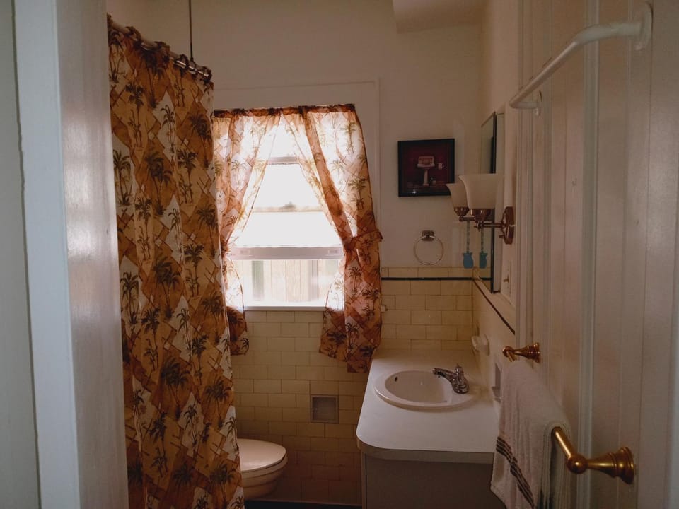 Toilet, Bathroom, Bath