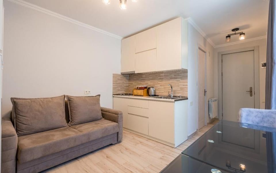 Kitchen or kitchenette, Living room, Seating area, stove