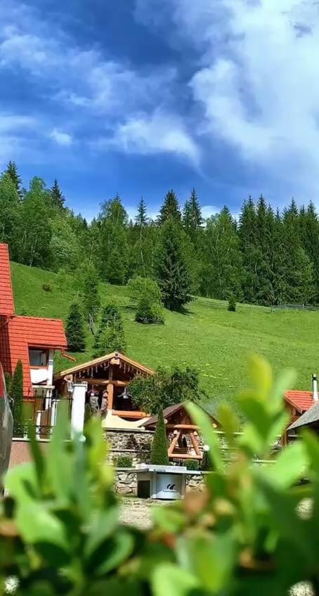 Day, Natural landscape