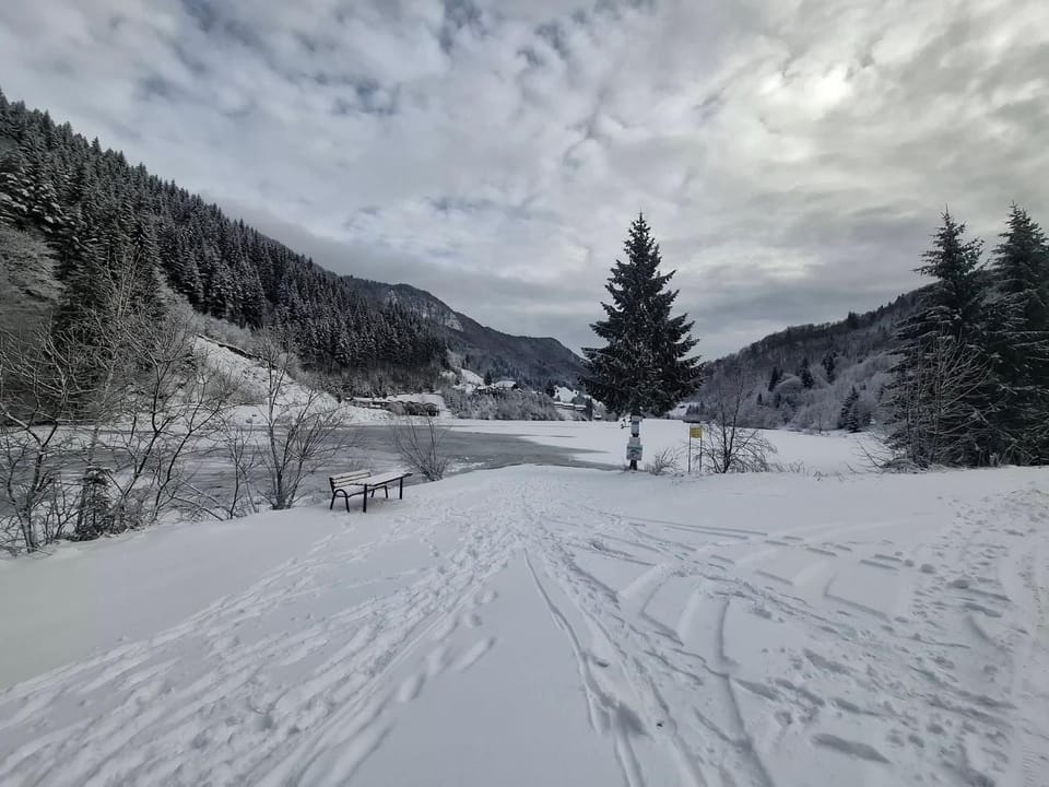 Diana's Holiday Home House in Brașov County