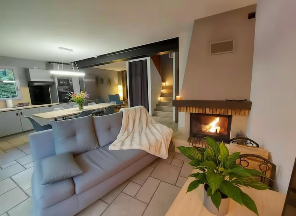 Kitchen or kitchenette, Living room, fireplace, stove