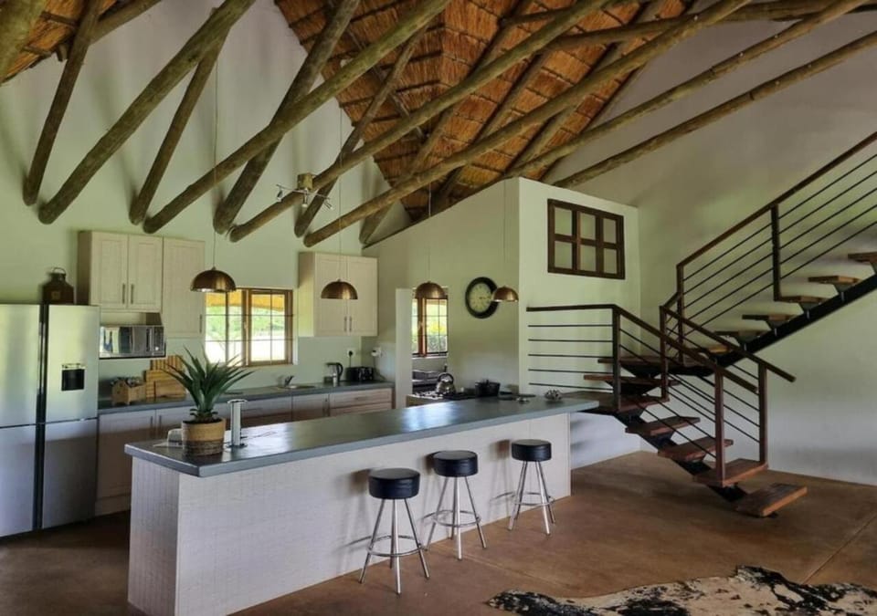 Kitchen or kitchenette, kitchen, kitchen