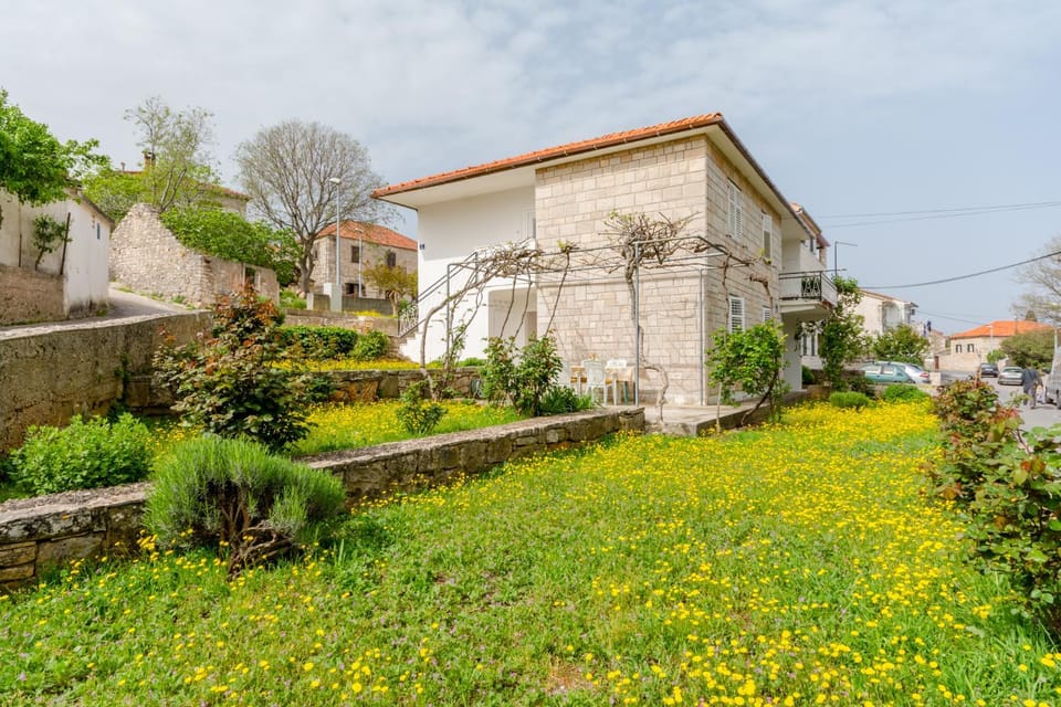 Property building, Garden