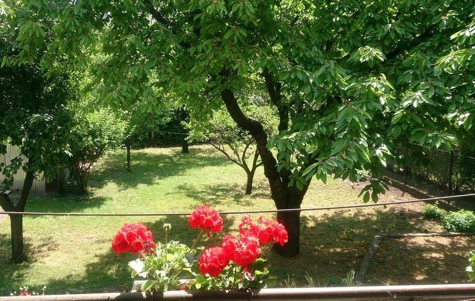 Garden, Balcony/Terrace, Garden view