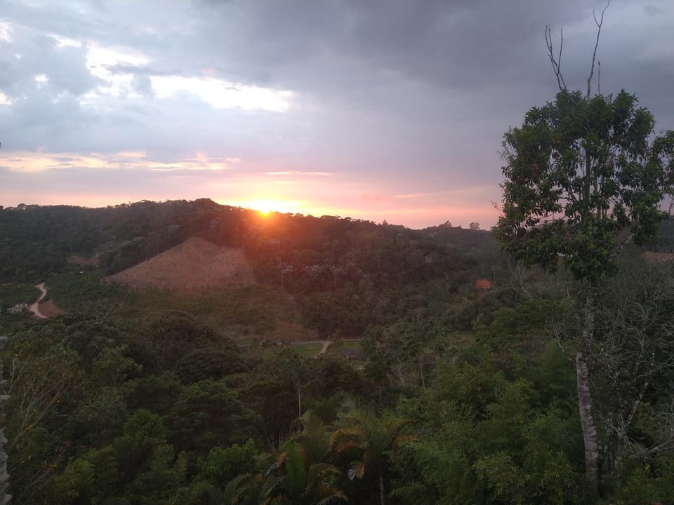 Natural landscape