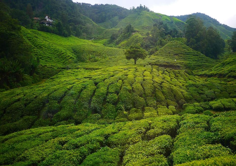 Natural landscape