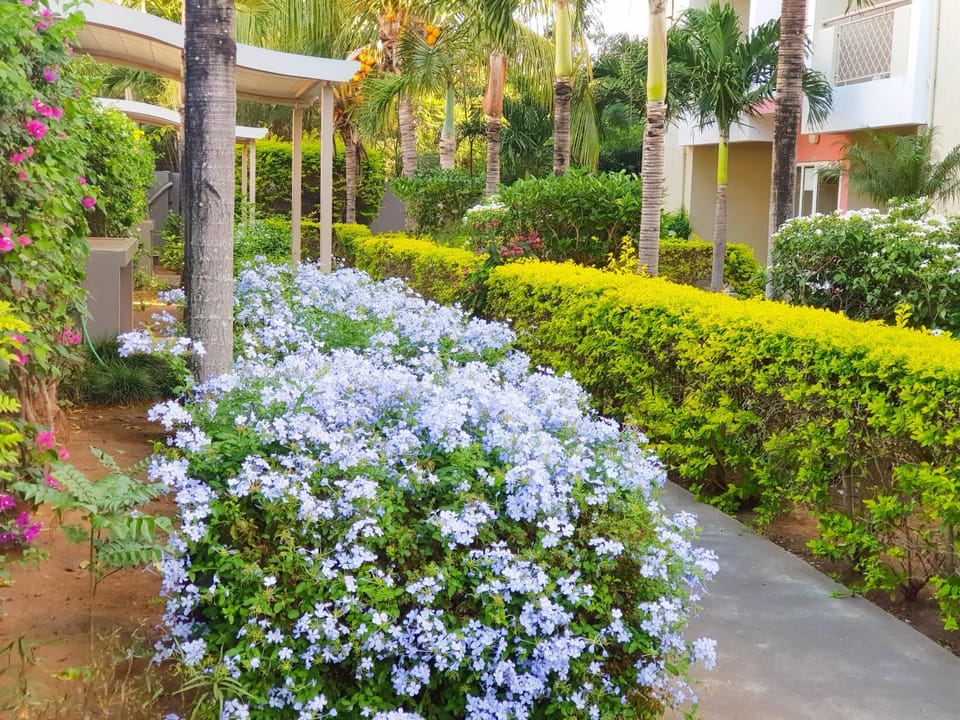 Property building, Natural landscape, Garden, Garden view