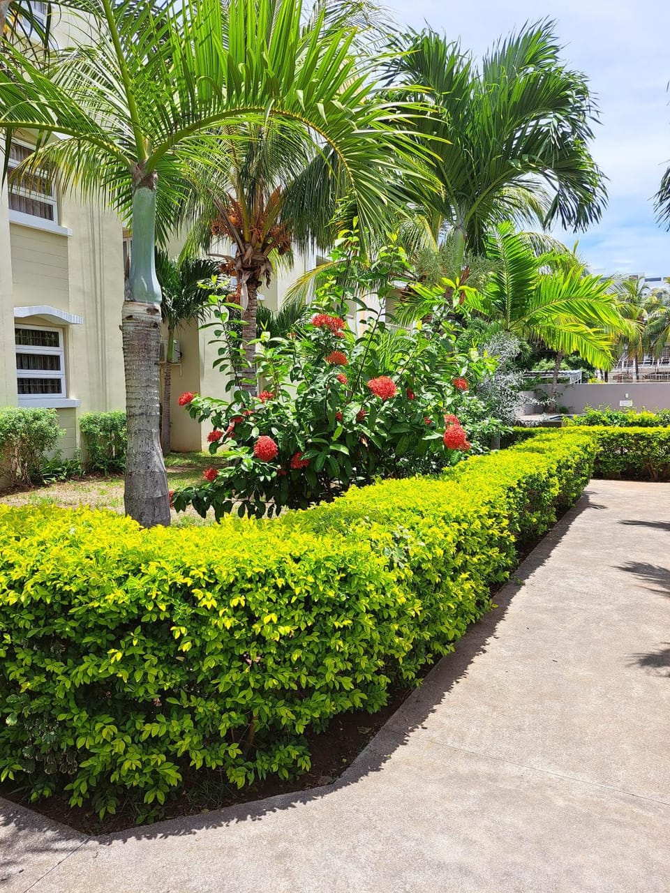 Spring, Day, Natural landscape, Garden, Garden view