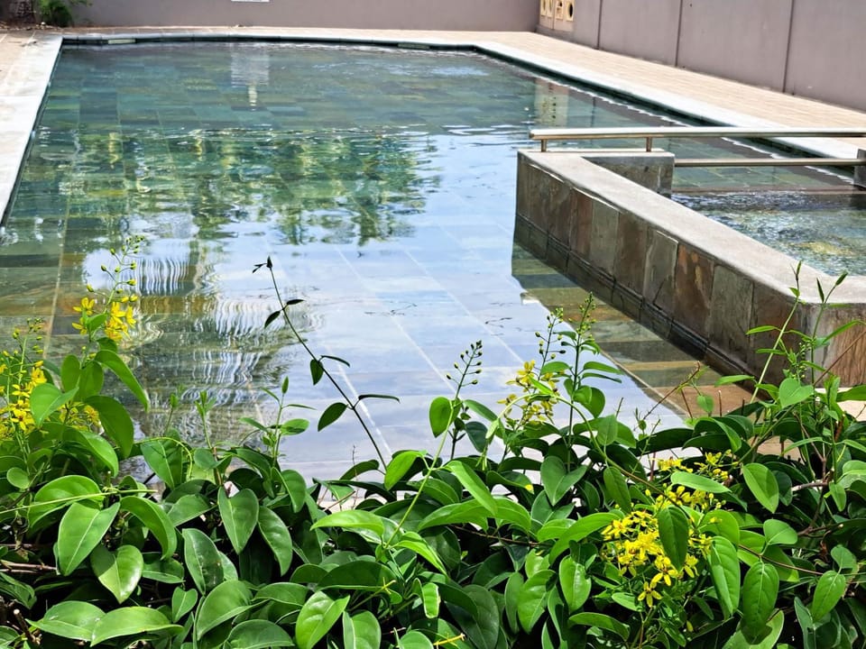 Garden, Garden view, Pool view, Swimming pool