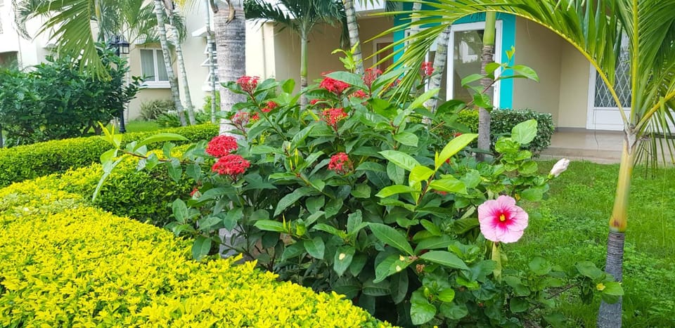 Garden, Garden view