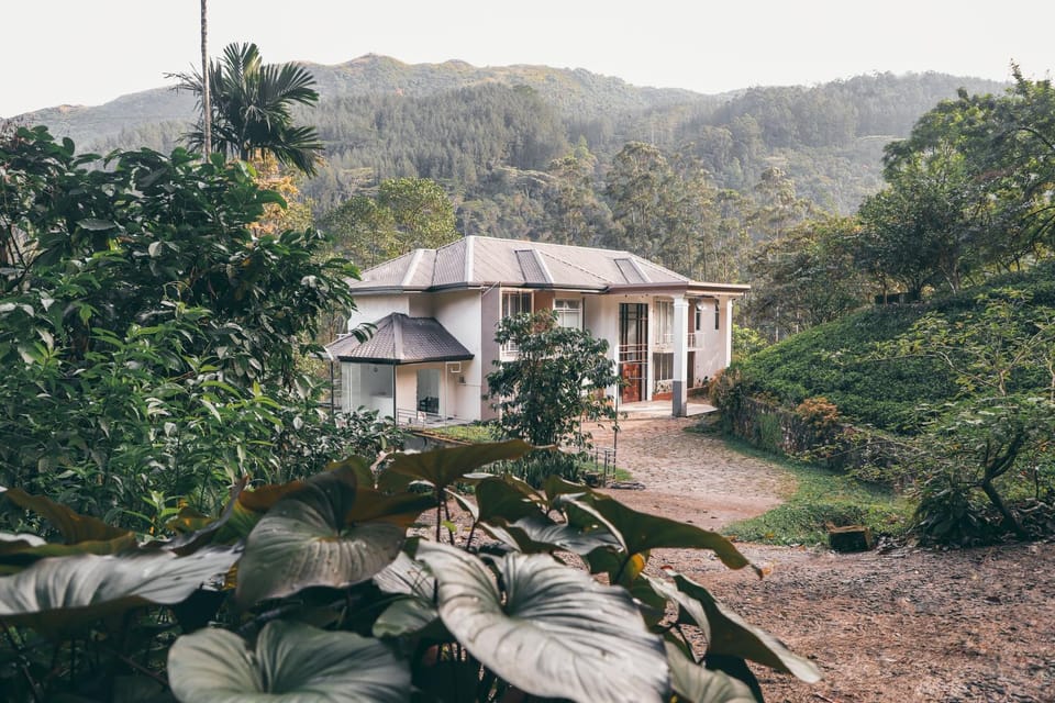 Property building, Natural landscape, Garden view
