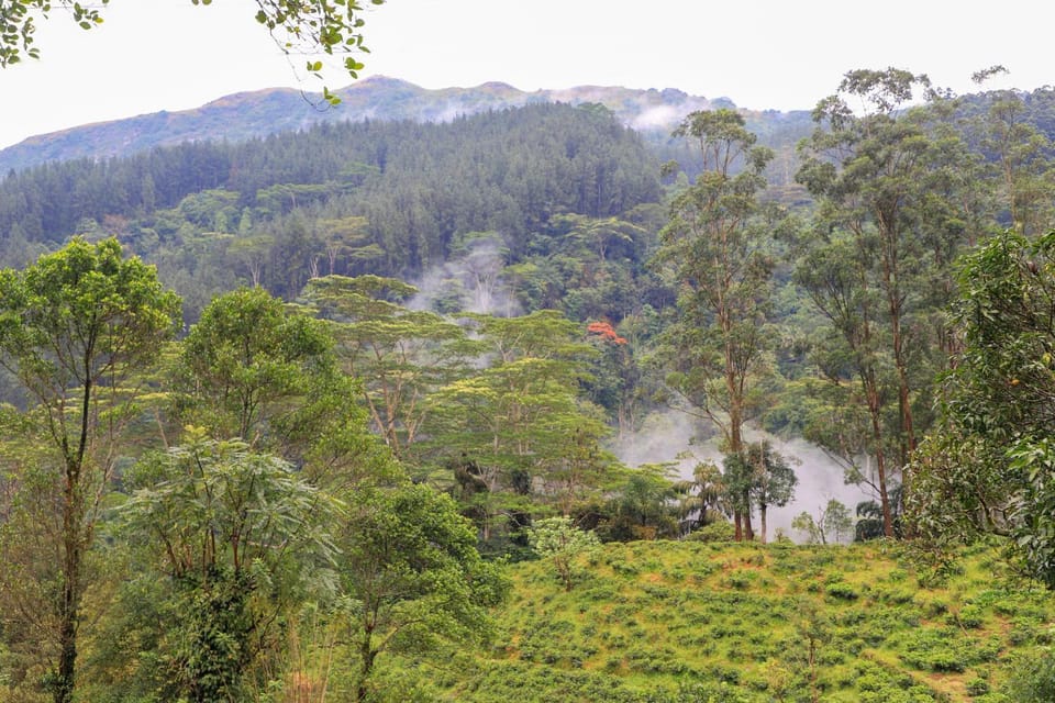 Nearby landmark, Day, Natural landscape
