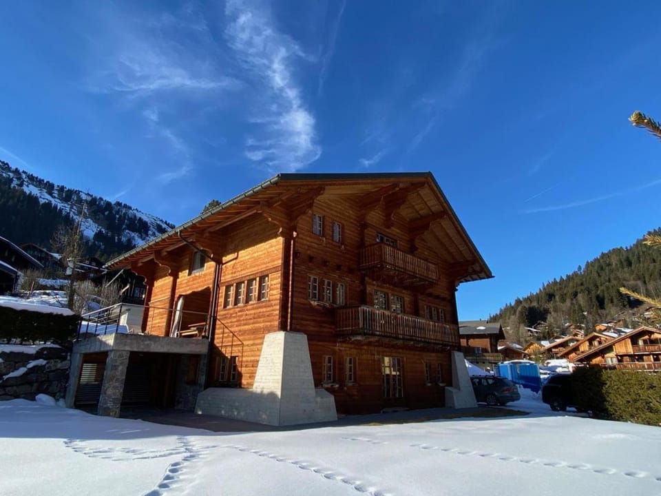 Le Mélézin Bleu Chalet in Châtel