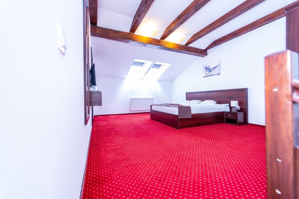 Pensiunea Campionilor Bed and Breakfast in Prahova, Romania