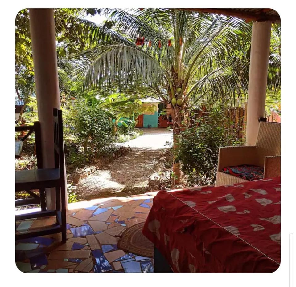Garden view