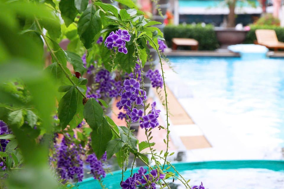 Garden view