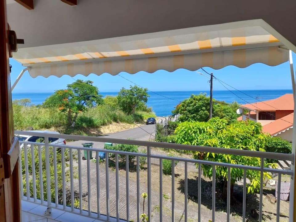 Balcony/Terrace, River view