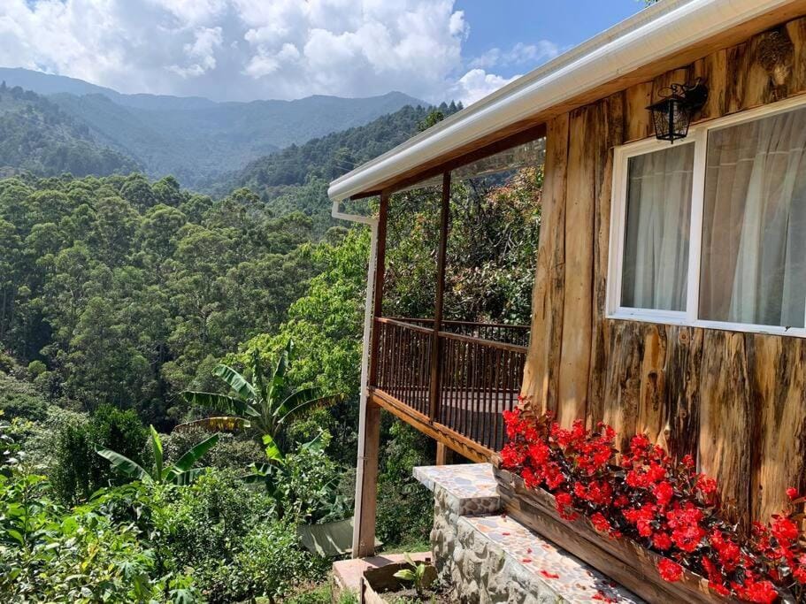 Patio, Spring, Day, Natural landscape, Garden, View (from property/room), Balcony/Terrace, Garden view, Mountain view