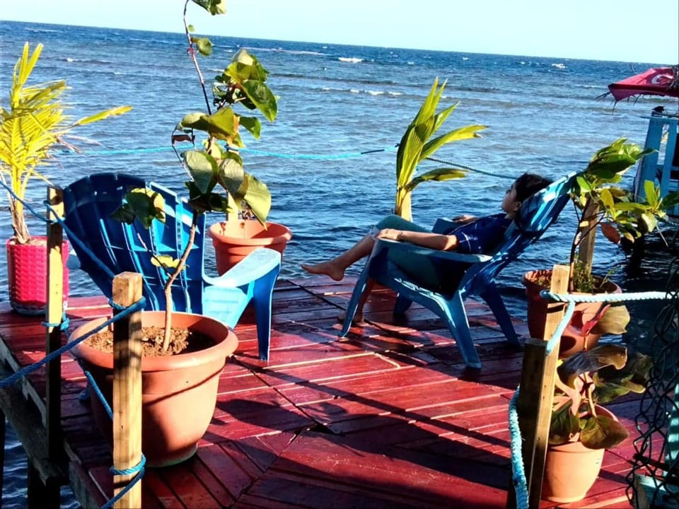 Hotel Victoria s Beach House Bed and Breakfast in Bay Islands Department