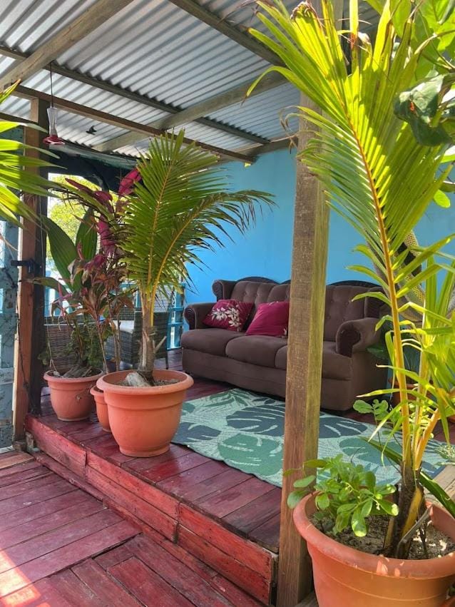 Hotel Victoria s Beach House Bed and Breakfast in Bay Islands Department