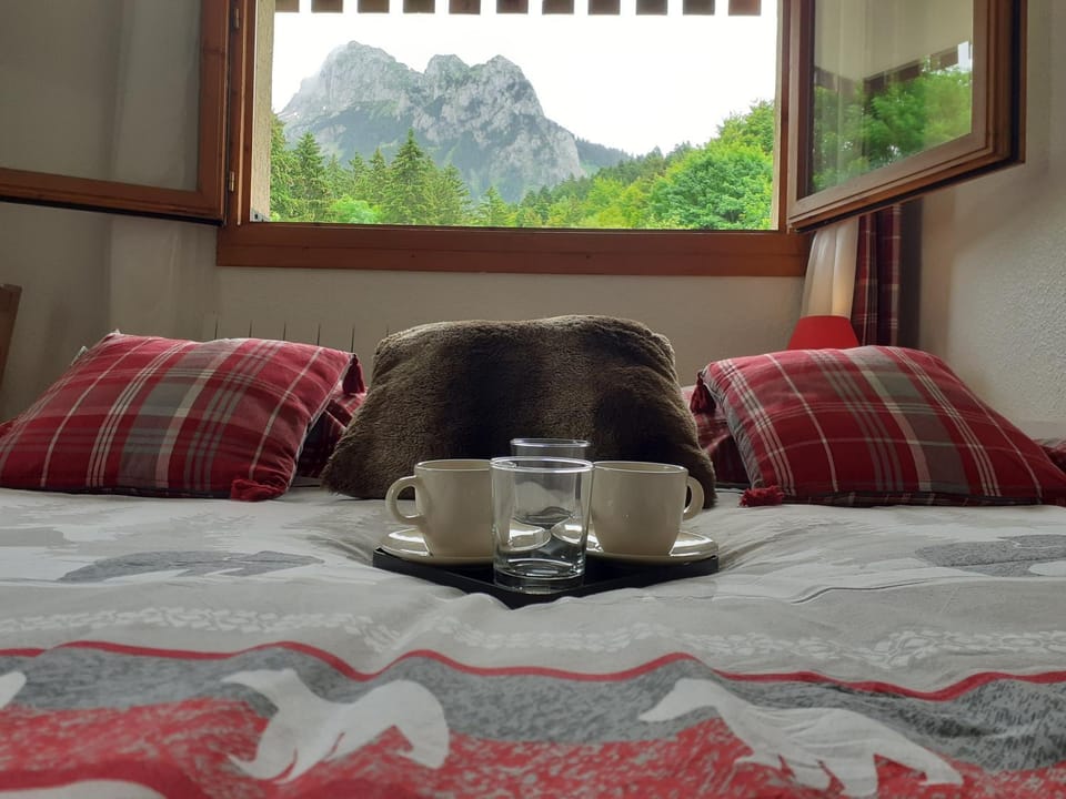 Studio Fondue chocolat, 100m des pistes Wifi fibre, parking privé Apartment in Haute-Savoie