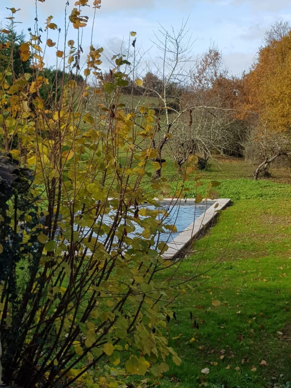 Gîte loustalneve House in Occitanie