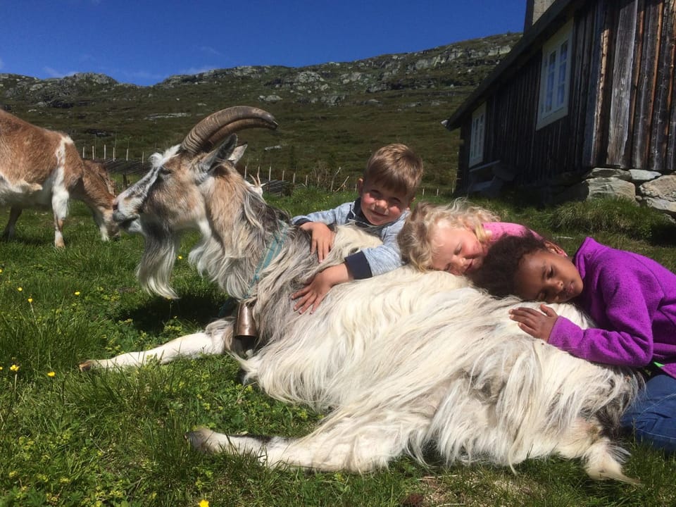 People, Animals, Pets, children, Family