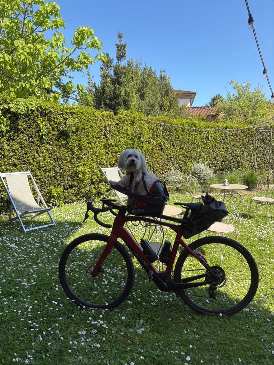 B&B Villa Agnese Lucca Bed and Breakfast in Capannori