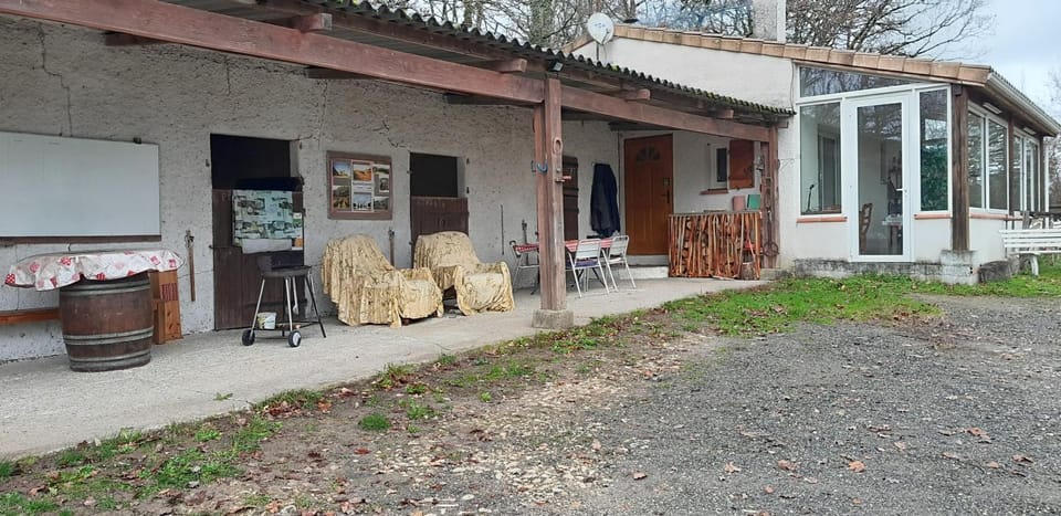 Patio, Day, Garden, Garden view