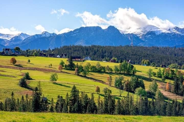 Dom na Brzyzku Bed and Breakfast in Lesser Poland Voivodeship