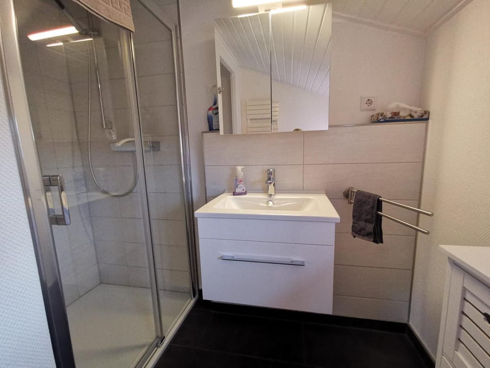 Bathroom, Living room