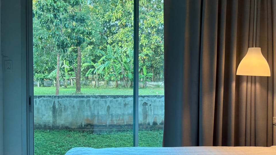 Day, Garden, Garden view
