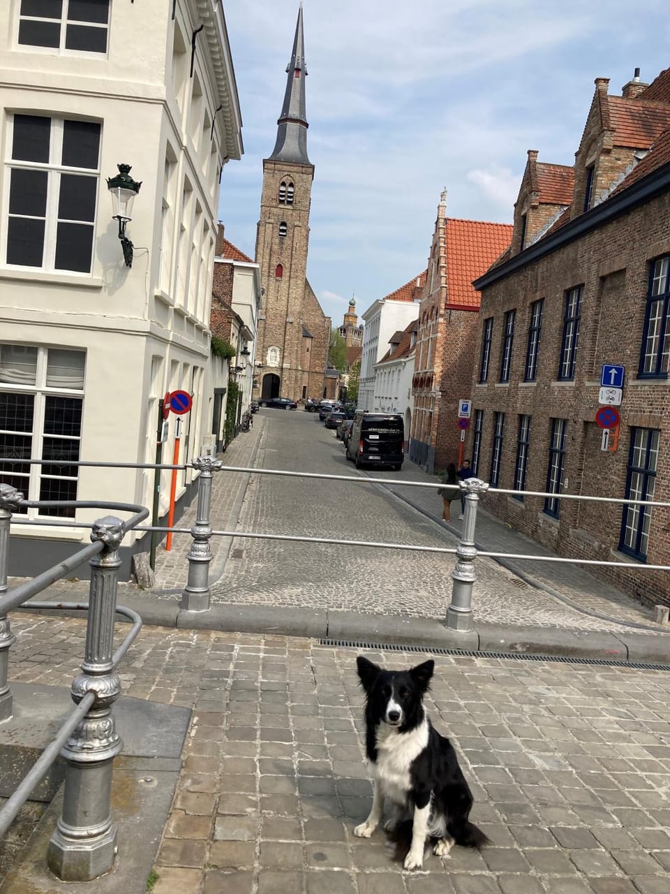 Neighbourhood, Pets