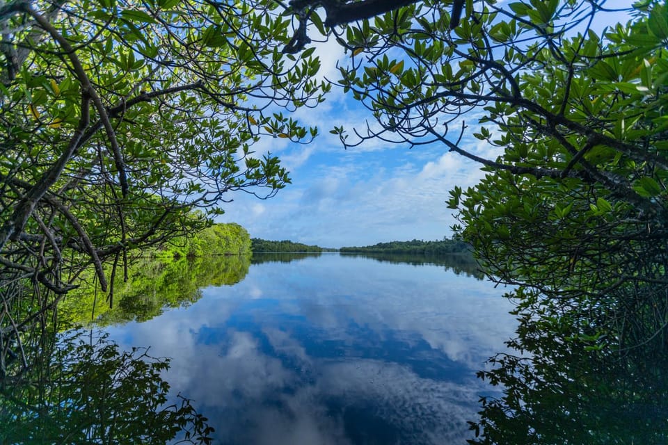 River view